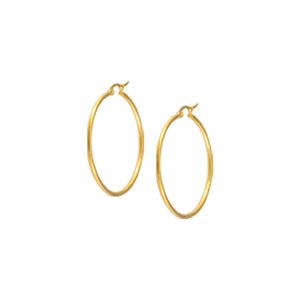 Boucles d’oreilles rondes plaquées or 24k