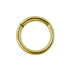 24k gold plated hinged segment ring