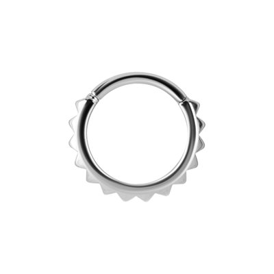 Hinged segment clicker ring