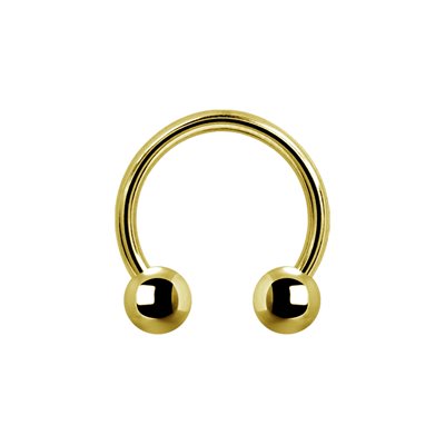 Barbell circulaire interne en titanium plaqué or 24k