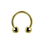 24k gold plated titanium internal circular barbell