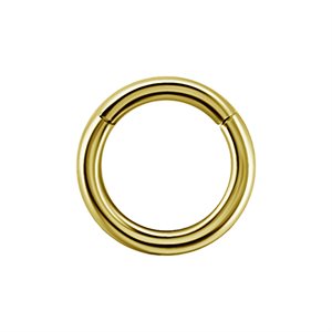 18k gold hinged segment clicker