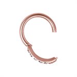 24k rose gold plated steel jewelled hinged segment clicker